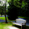 Scenery with the bench