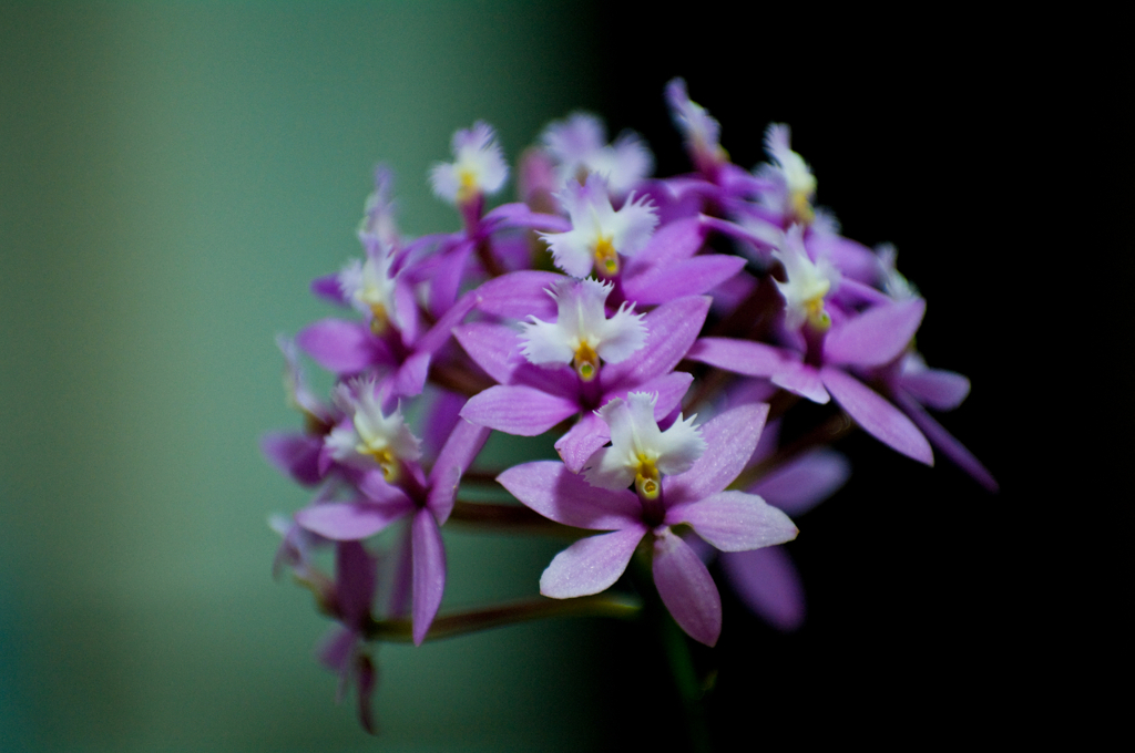 IMGP0299