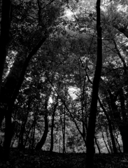 IMGP0337