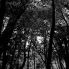 IMGP0337