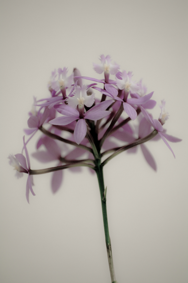 IMGP0298