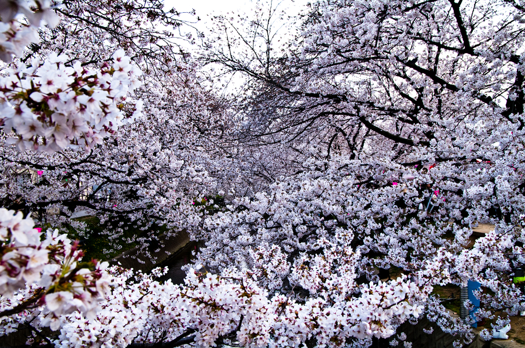 IMGP0357