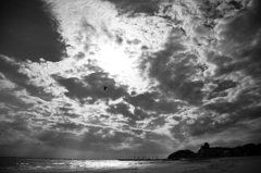 Fly high 