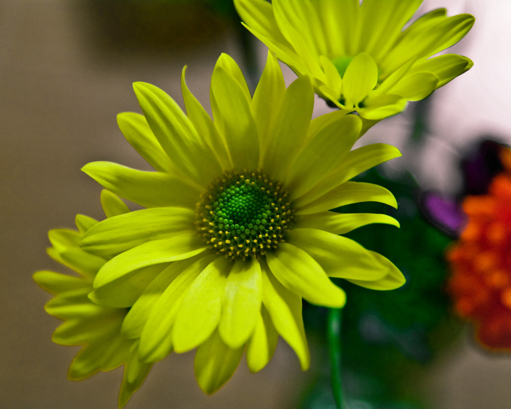 花