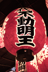 IMGP0139