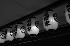 IMGP0498
