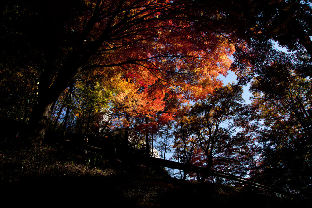 温泉寺