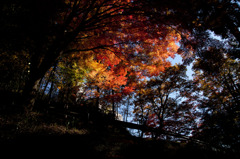 温泉寺