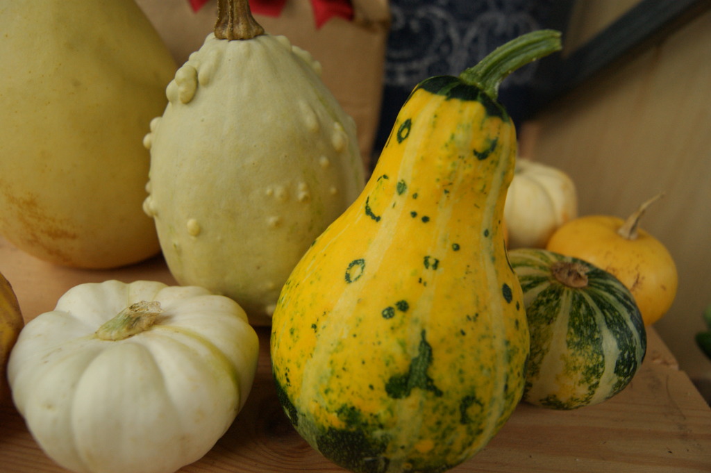 夏の珍しい野菜たち