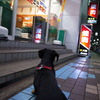 まなざしの先