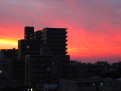 紅空