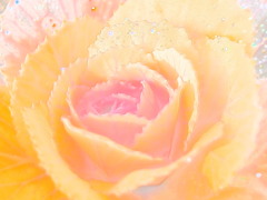 葉ボタン