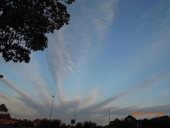 DSCN0285