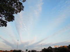 DSCN0286