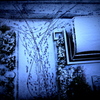 積雪
