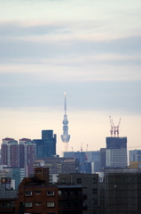 希望光灯る