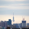希望光灯る