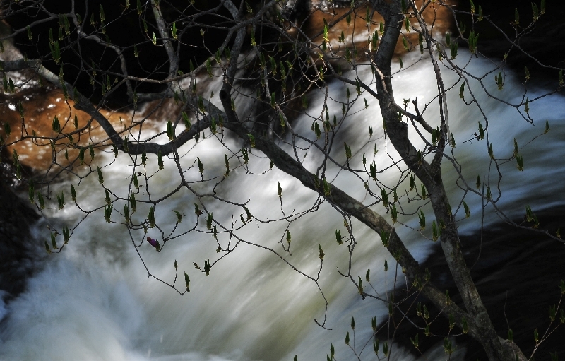 DSC_1505T