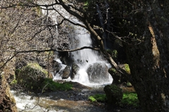 DSC_1515