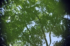 風の模様