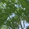 風の模様