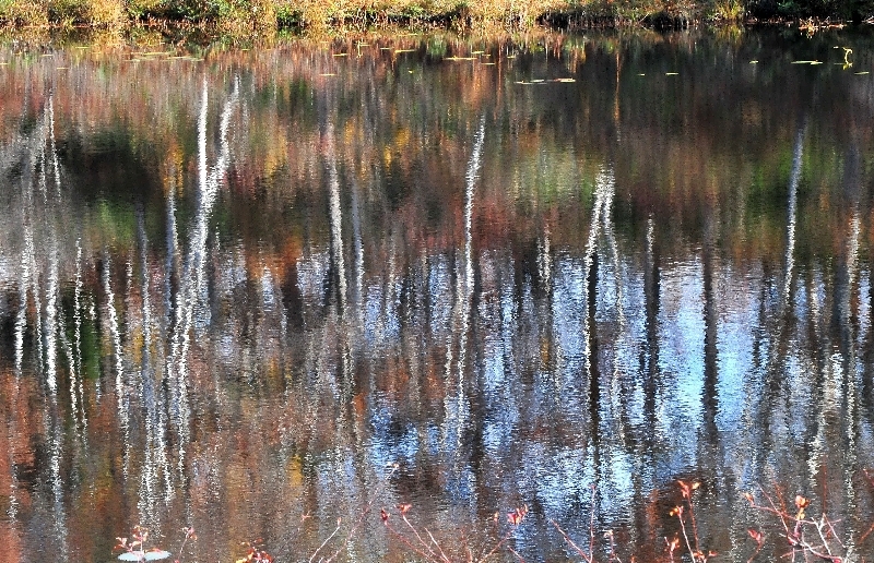 DSC_2786