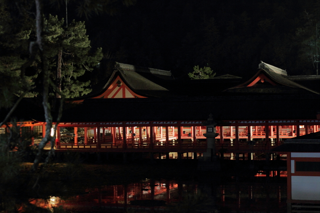 夜の厳島神社