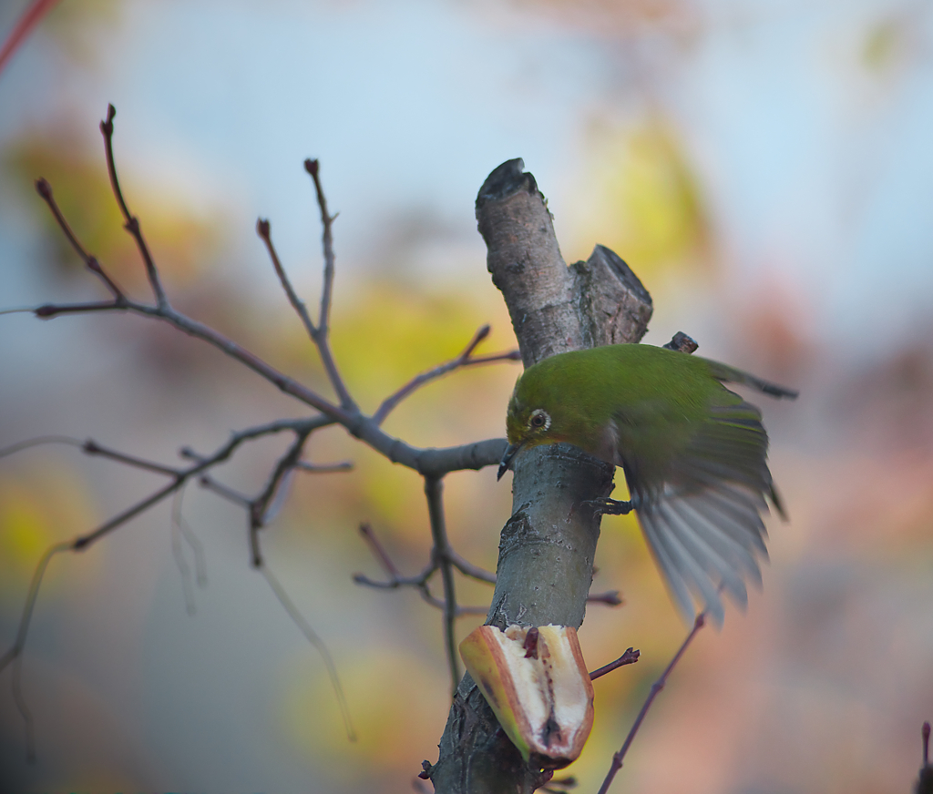 あらら　滑った
