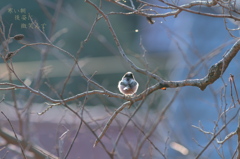 まぶしい朝～♪