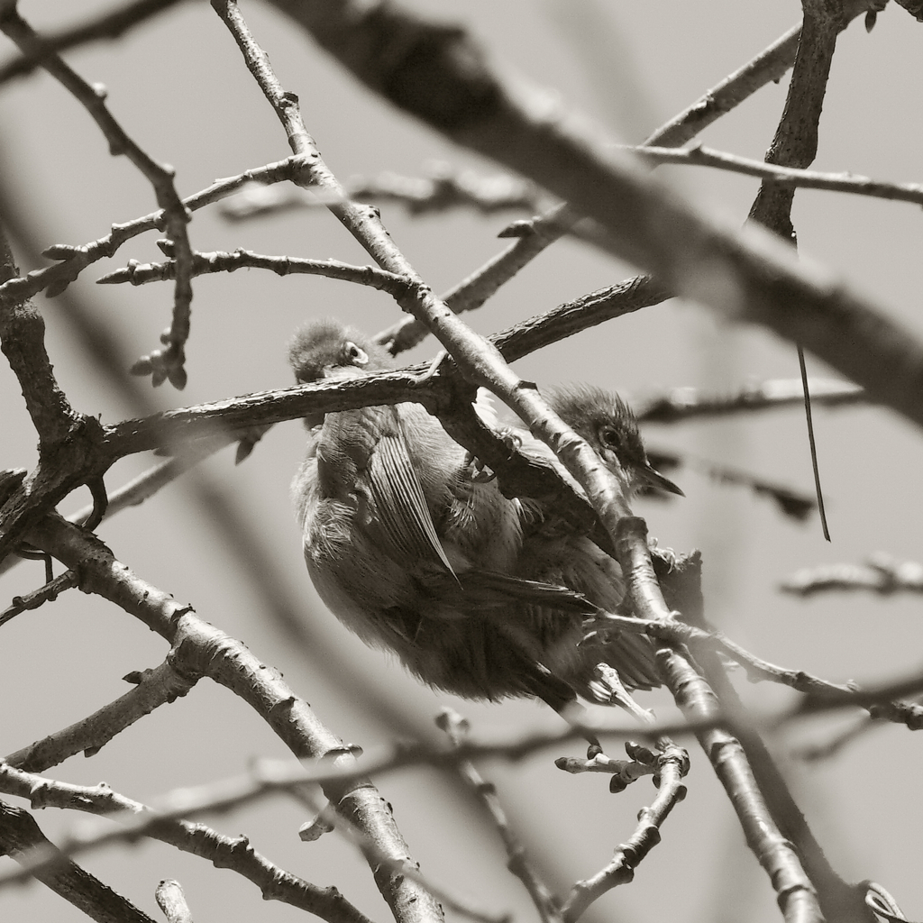 恋路の邪魔してすいません