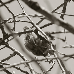 恋路の邪魔してすいません