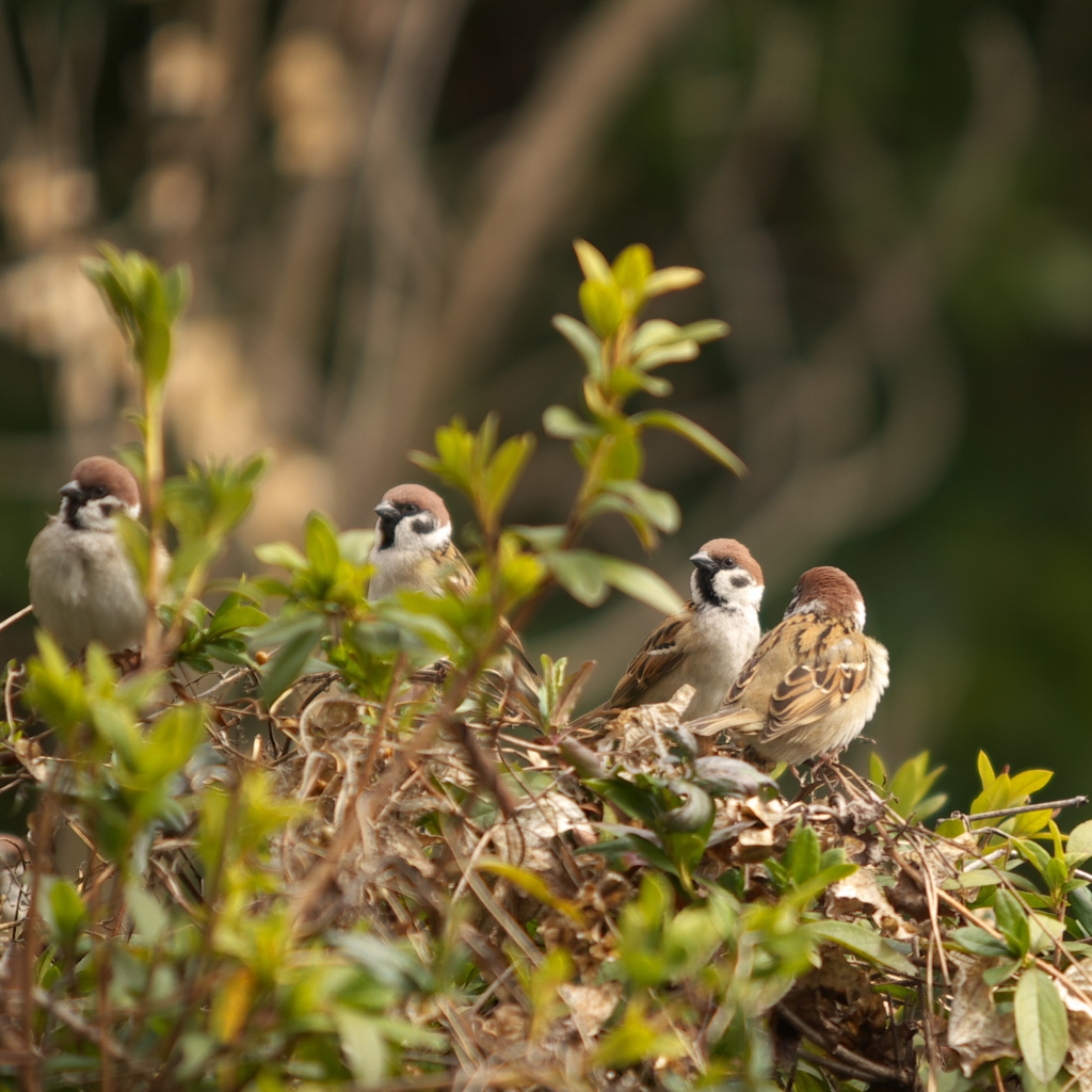 先客にて　待機中～～