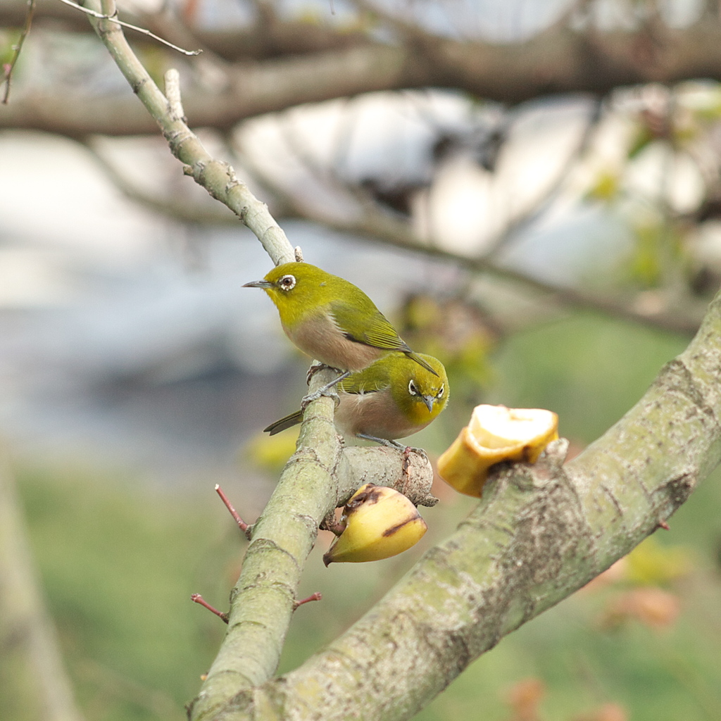 あなた　まだ　撮ってる　あの人　怒～♪
