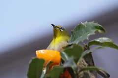 ディナ－の前に～お祈りを