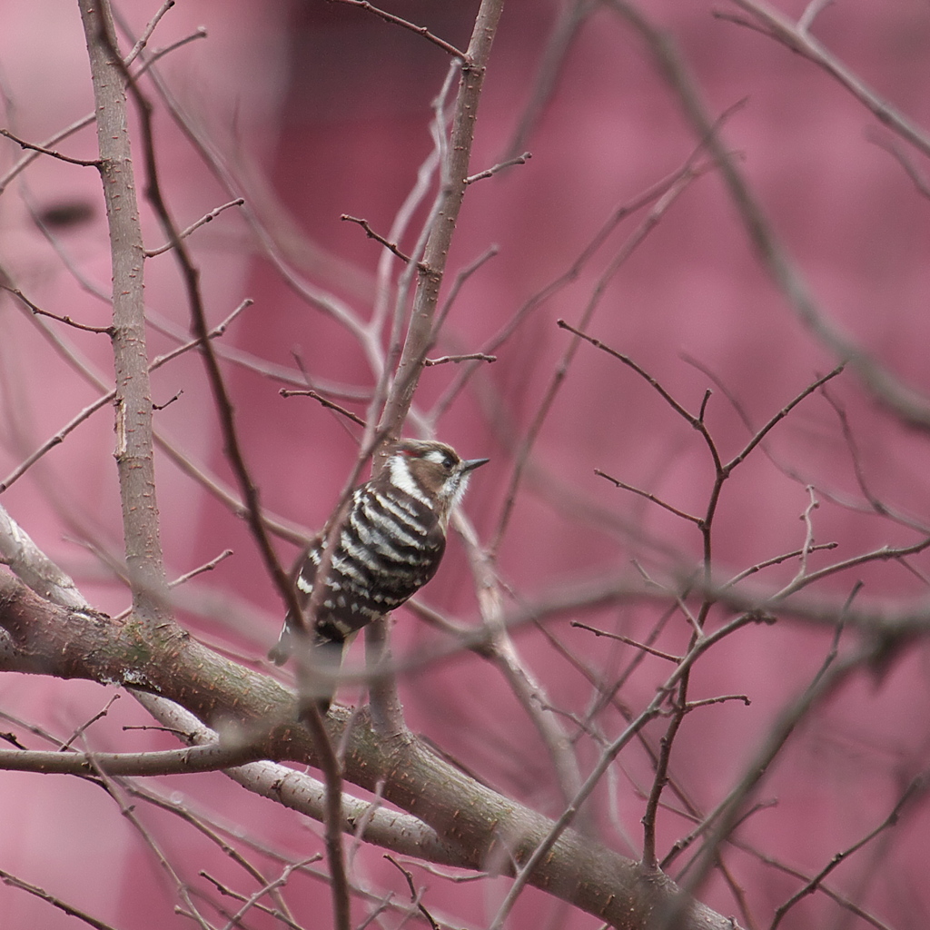 どこを見てるの～♪♪