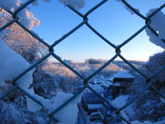 早朝散歩 雪の八王子1/24 