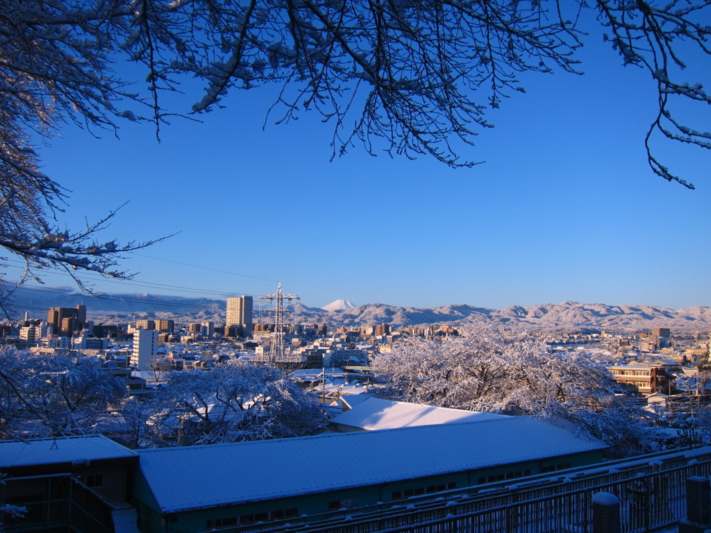 早朝散歩 雪の八王子1/24 with 富士山 