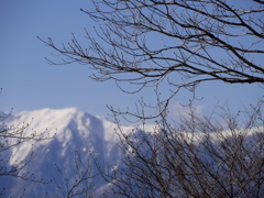 春まだ・・