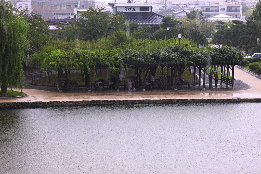 雨宿り