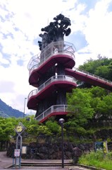 この木何の木