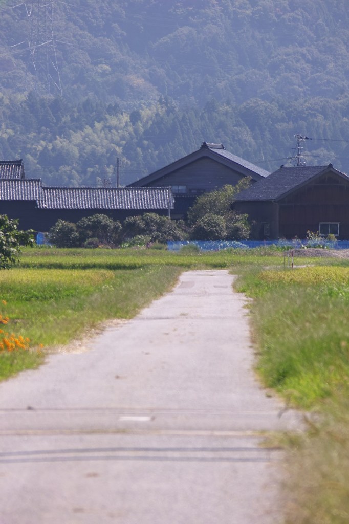 里道