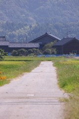 里道