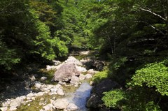 初夏のシオカラ谷