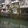 雨柳