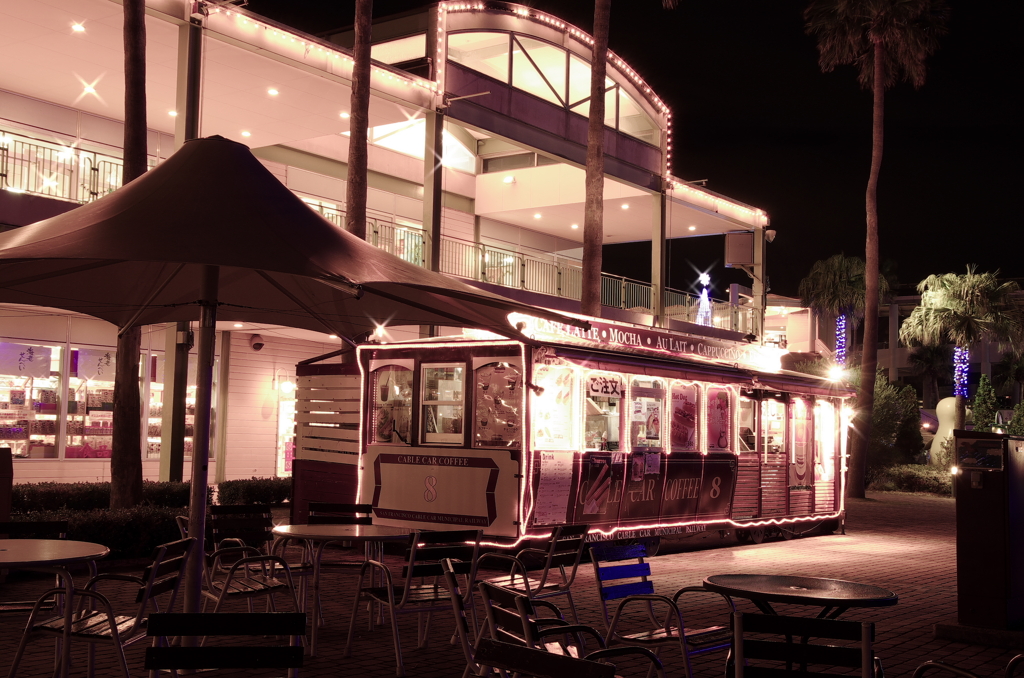 The store of night 