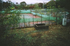 Deserted Tennis Court