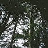 Thick Silence