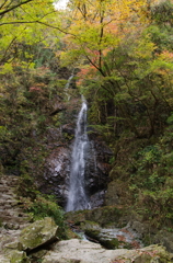 払沢の滝
