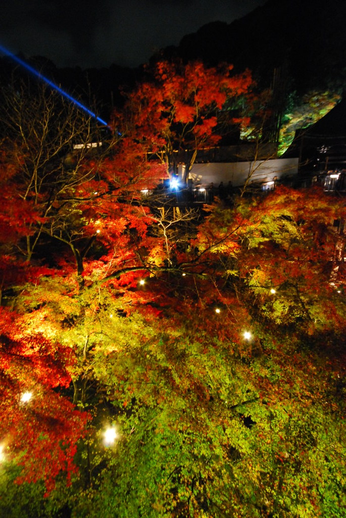 黄葉の銀河