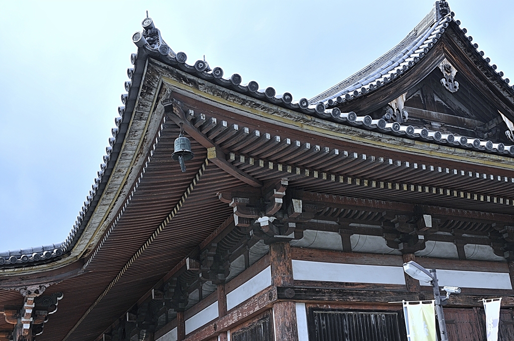 雀と大工は…